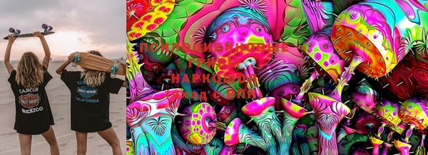 марки lsd Абаза
