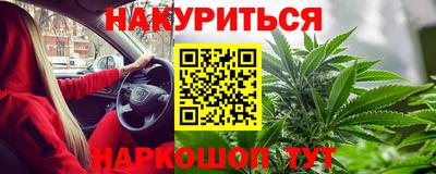 Альфа ПВП Бийск