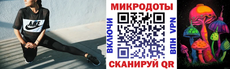 Псилоцибиновые грибы ЛСД  блэк спрут сайт  Кизилюрт 