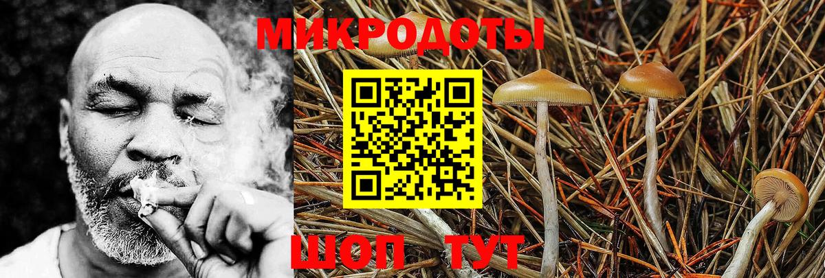 Псилоцибиновые грибы Psilocybe  Вход с VPN  Галлюциногенные грибы Psilocybe  Кизилюрт 